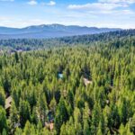 Tahoe Donner Neighborhood