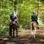 horseback riding
