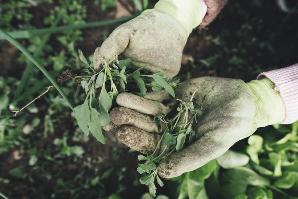 green waste garden gloves